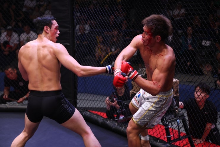  [Japan Martial Arts Expo] '로드FC' 윤태영, 'UFC' 출신이자 '일본 챔피언' 출신 아베 다이치에게 TKO승