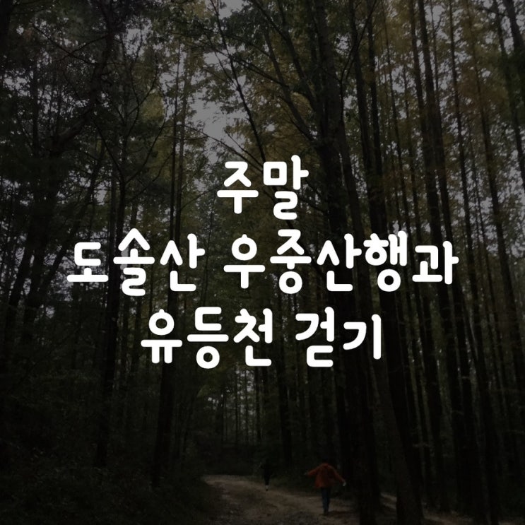  주말 도솔산 우중산행과 유등천 걷기