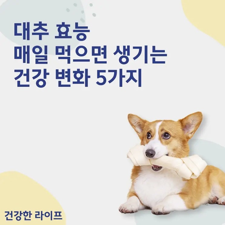  대추 효능, 매일 먹으면 생기는 건강 변화 5가지