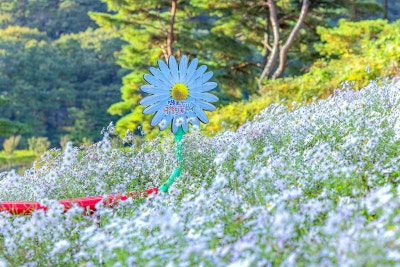 사진 7