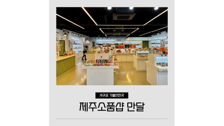 제주도 선물샵 만달 서귀포 중문 소품샵 제주도 선물샵 만달 서귀포 중문 소품샵