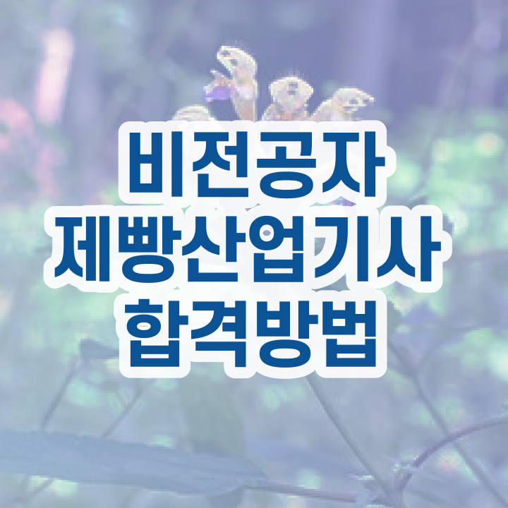  제빵산업기사 합격 제빵산업기사 응시자격 인강만 듣고 쉽고 빠르게 성공한 팁