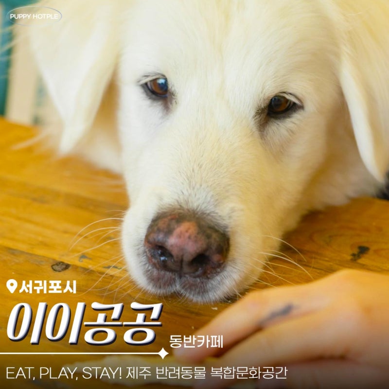 사진 5