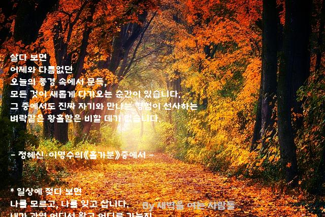 어제 어제