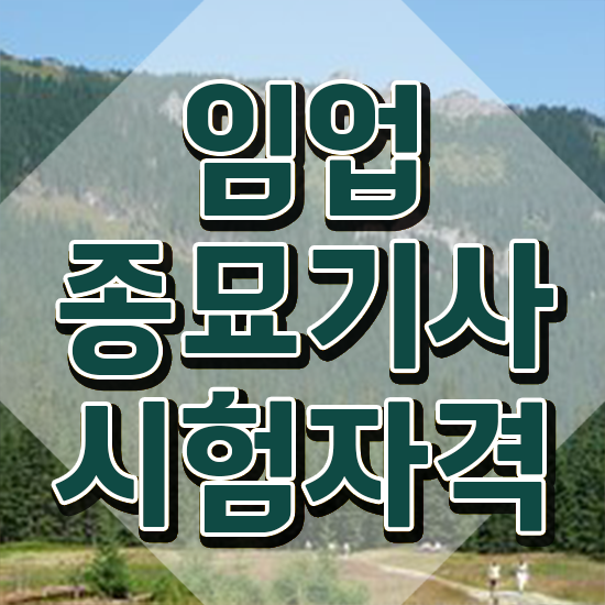  임업종묘기사 임업종묘기사 시험자격 집에서 온라인으로 간단하게 완료한 팁