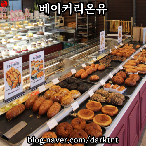 제주도 빵지순례 외도동 맛집 제주공항 근처 유명한 도민 빵집