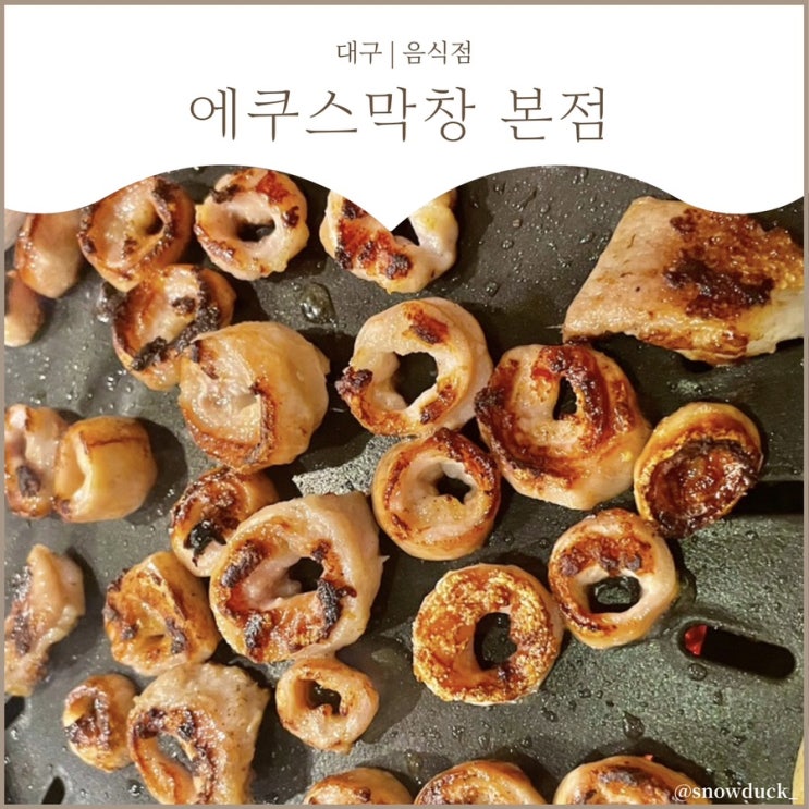  [대구 수성구 막창] 에쿠스막창 :: 현지인 추천 내돈내산 후기