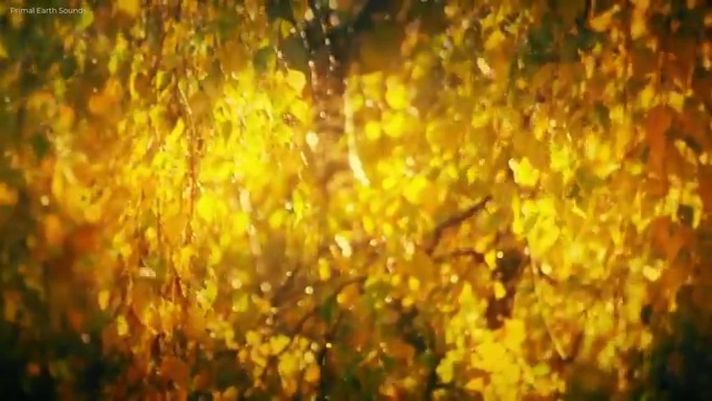  사회복지공무원5급 , 사회복지사2급 경력없어도 학점은행제로 간편하게