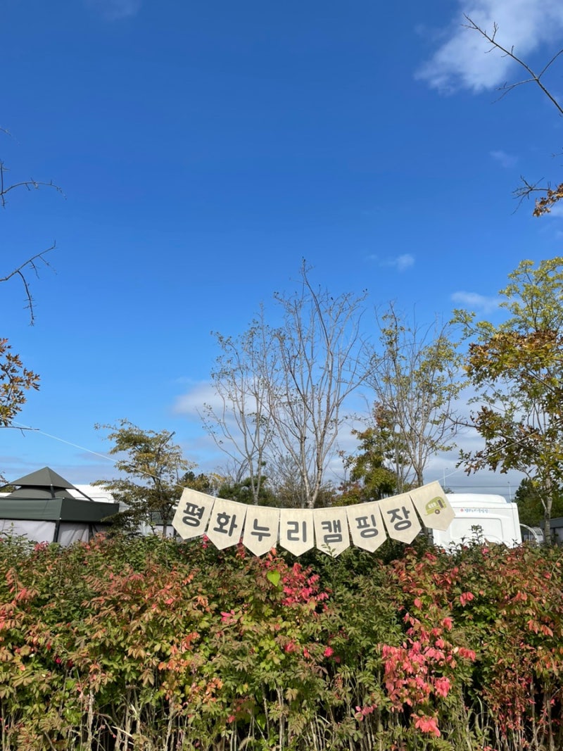 파주 임진각 평화누리캠핑장 예약 타프존 차박