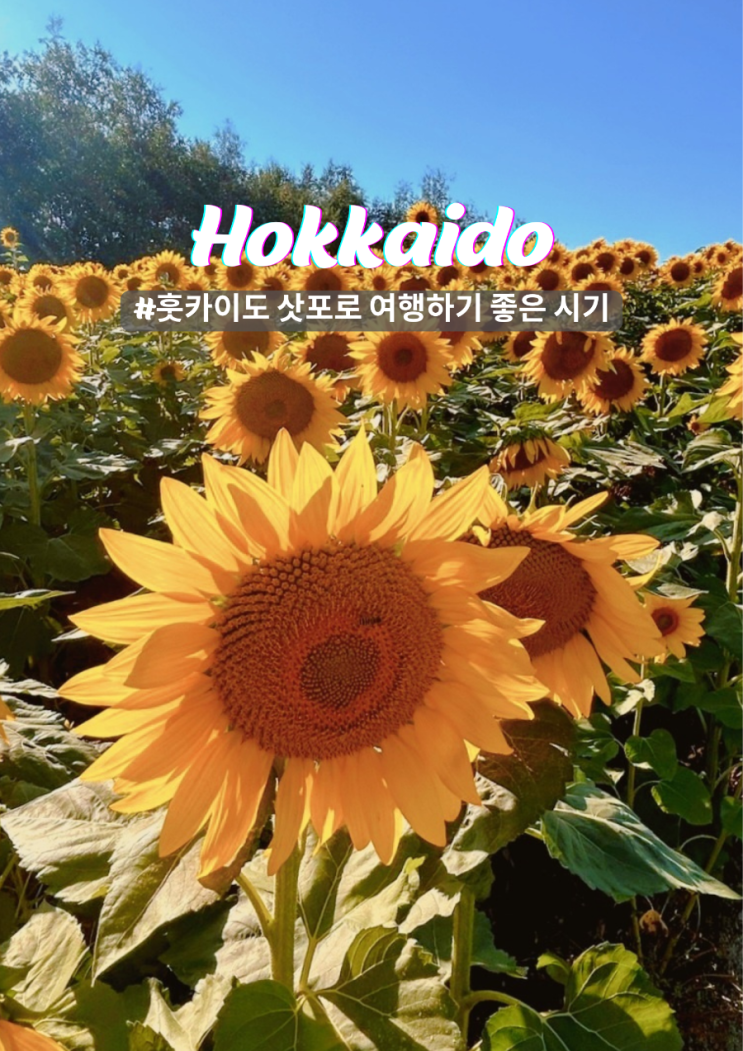  홋카이도 부모님과 여행 삿포로 4월 5월 날씨 옷차림