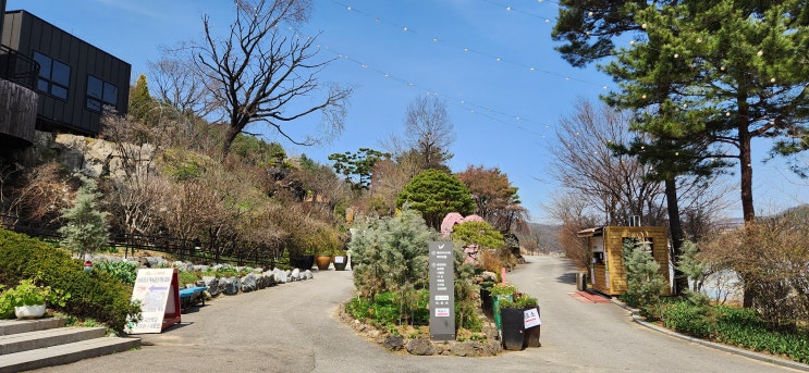 천안시 목천읍 수목원이 있는 대형 감성 베이커리 아름다운 화수목정원 카페