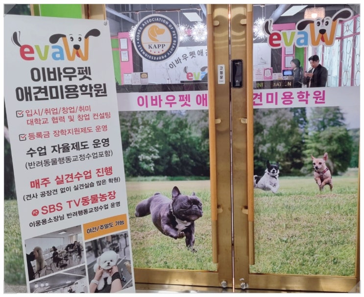  노원 애견미용학원 자격증 단기 취득하고 실전 대비 교육!