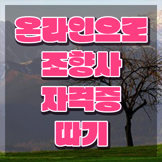  , 조향사 인강만 듣고 독학으로 쉽고 빠르게 끝냈던 노하우