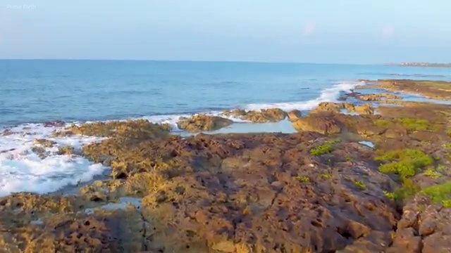  서울시 사회복지 공무원 , 사회복지사2급 중년 직장인도 온라인 수업으로 손쉽게