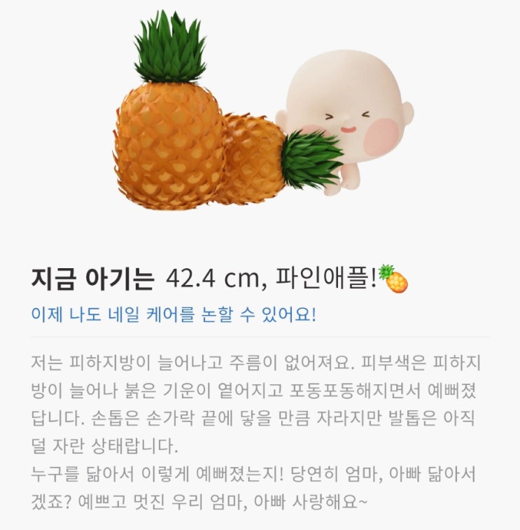  [임신일기] 33주차 증상, 식단 기록(feat. 임산부 추천운동)