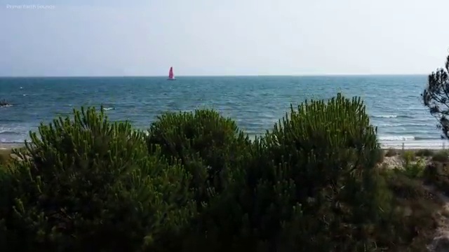  전기공사기사 견적 , 인강으로 간편하게 전기공사기사자격증 준비한 방법 소개  전기공사기사 취득자격 온라인 수업으로 쉽고 빠르게 성공한 전략