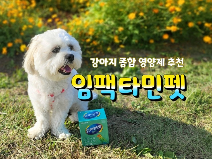 대웅제약이 만든 대웅펫 강아지 종합영양제, 임팩타민 펫