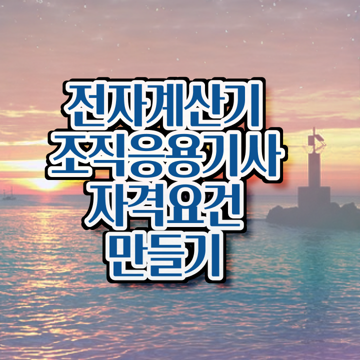  전자계산기조직응용기사 시험접수 전자계산기조직응용기사 응시조건 인강만 듣고 단기간에 완료한 방법