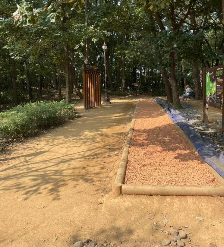  [용인 동백] 자연과 교감하는 맨발 산책: 한숲공원과 석성산 등산로