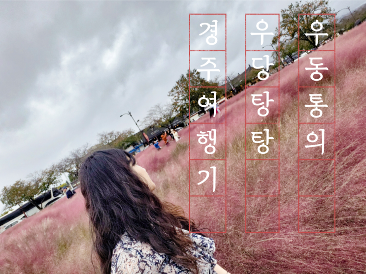  당일치기로 경주 여행 1편 - 경주핑크뮬리, 황리단길맛집 덕클