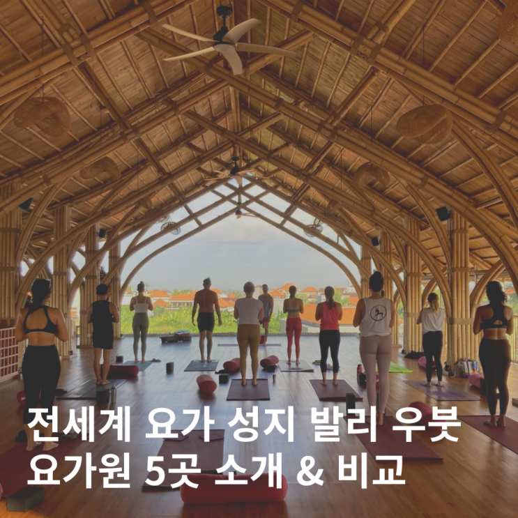 발리 요가여행 우붓 요가반 요가원 5곳 비교 정리