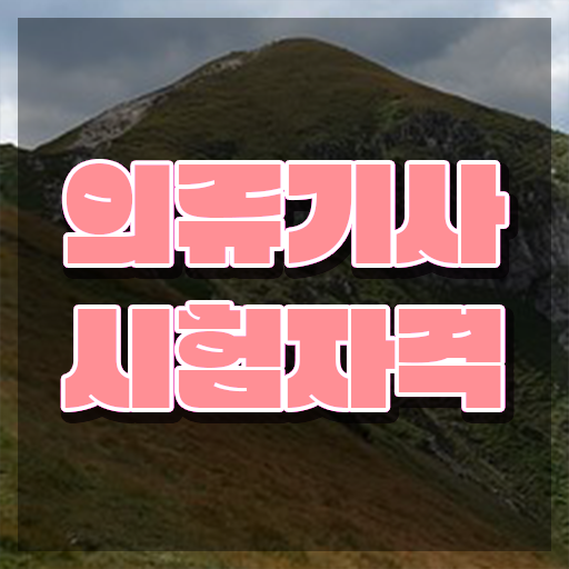  의류기사 전공 의류기사 취득자격 온라인 과정으로 간편하게 끝낸 후기