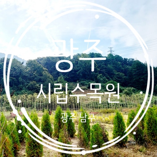  전라도 광주 아이랑 가볼만한곳 광주시립수목원