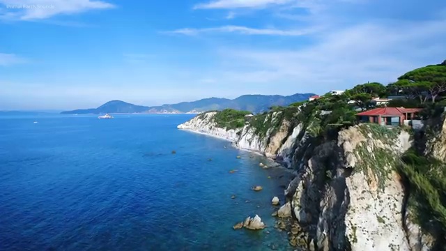  반려동물관리사2급 , 반려동물관리사 자격증 독학으로 취득한 방법 확인하고 가세요
