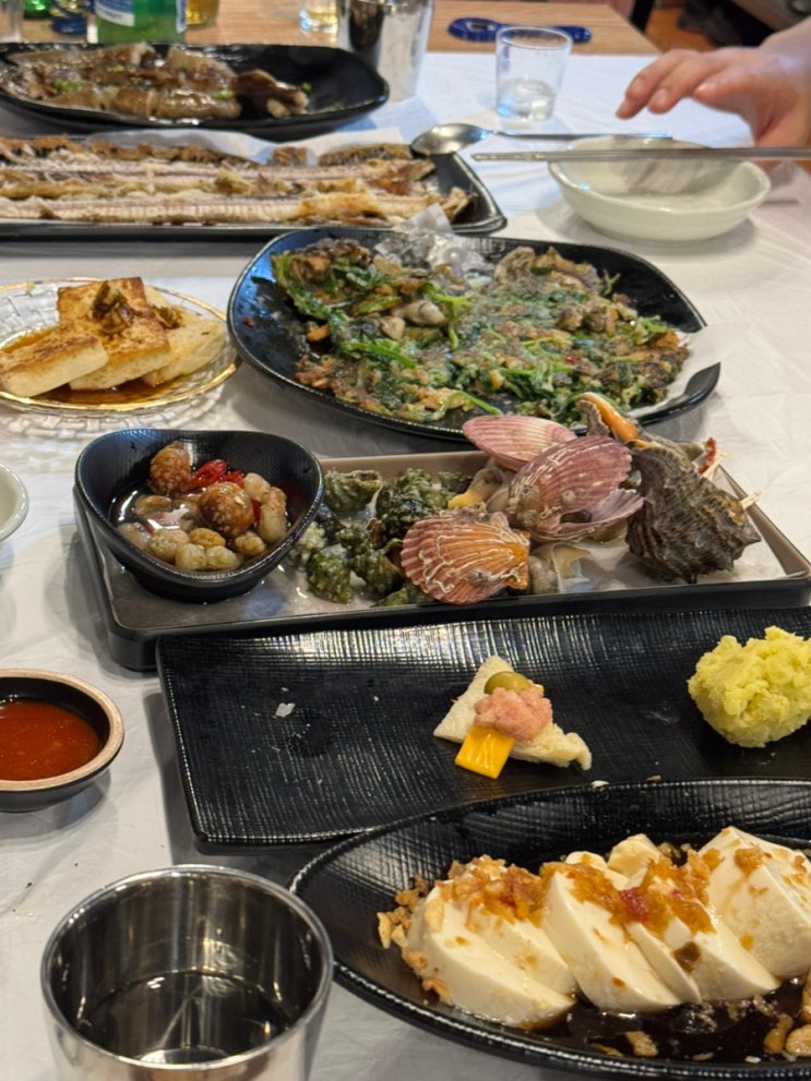 부산 대신동이모카세 코스요리안주맛집 극추천 제대로술한상 부산 대신동이모카세 코스요리안주맛집 극추천 제대로술한상