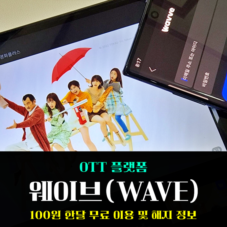  웨이브 100원 해지 하는 방법과 한달 무료 요금제 잘 사용한 후기!