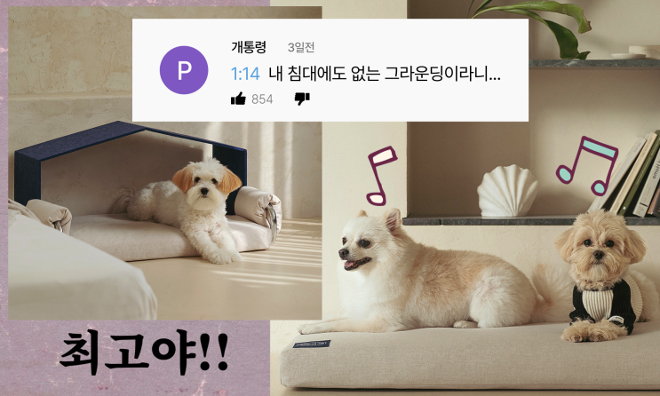  강아지 매트리스 하이엔드급 극강의 편안함 닥터프렌드 퍼피