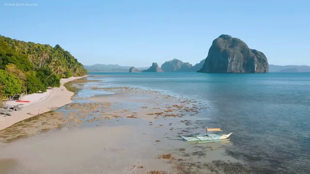  산림기사 학점 은행제 , 산림기사 자격요건 온라인 수업으로 단기간에 성공한 노하우