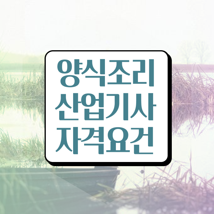  양식조리산업기사 필기 과목 양식조리산업기사 자격요건 인강만 듣고 단기간에 준비한 후기