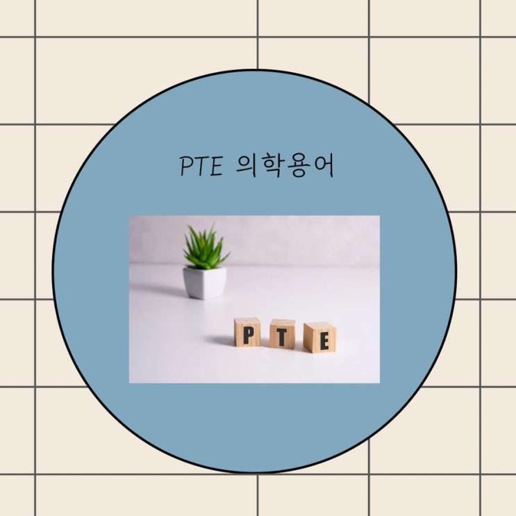 pte 의학용어 증상 치료 시술 IVC 의학용어