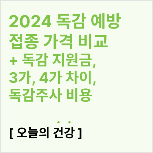  2024 독감 예방접종 가격 비교( 독감 지원금, 3가, 4가 차이와 비용,코로나동시접종)