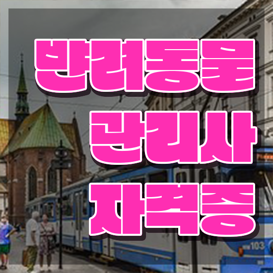  반려동물식품관리사 , 반려동물관리사 자격증 합격정보 핵심 정보 정리