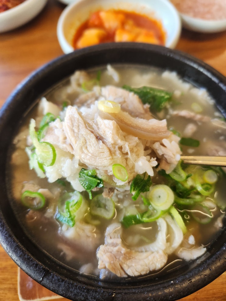  부산 해운대 깔끔한 "극동 돼지국밥" 맛보기 (feat. 블루라인파크 예매방법)