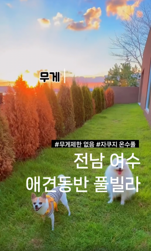 피읖스테이 — 여수시