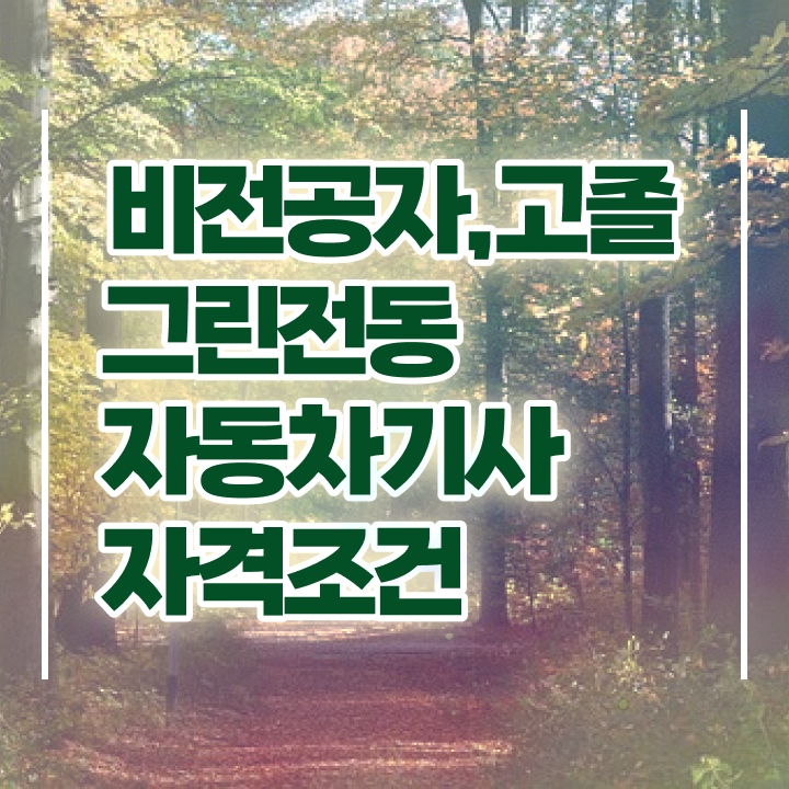  그린전동자동차기사 자격증 자격 , 그린전동자동차기사자격증 취득한 과정 , 인기있는 이유