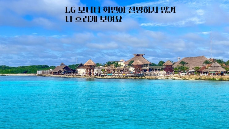  LG 모니터 화면이 선명하지 않거나 흐리게 보여요