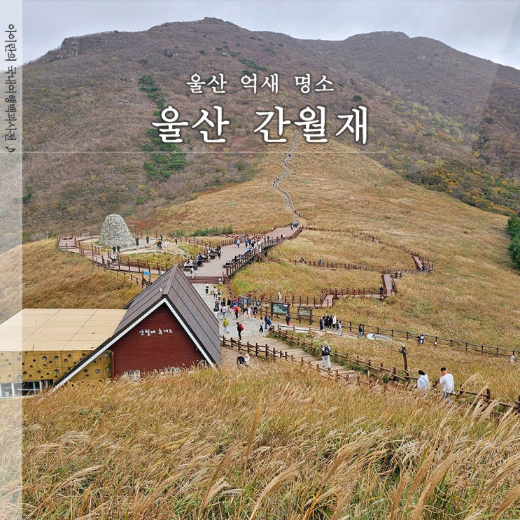  울산 간월재 억새 시기 사슴농장 코스등산 주차장 안내