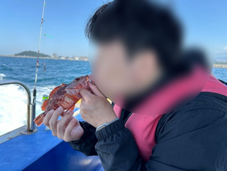  제주도 이호털보배낚시~!