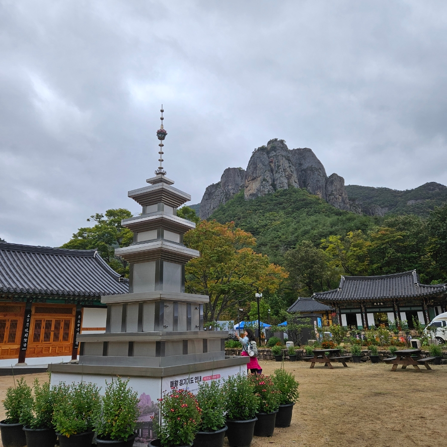 큰골 사진