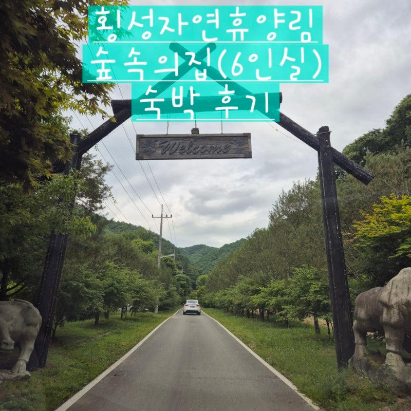 아기랑(11개월 시절) 강원도 횡성자연휴양림(사립) 숲속의집 (403호)숙박 후기(ft : 바베큐장)