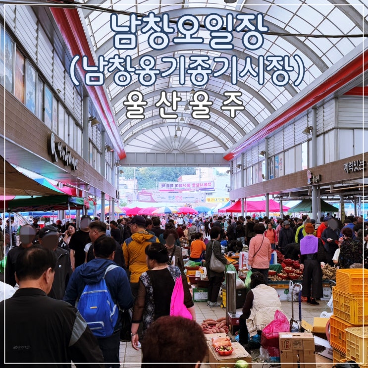  [울산] 입과 눈이 즐거운 전통 5일장(3일,8일) '남창오일장(남창 옹기종기 시장)'