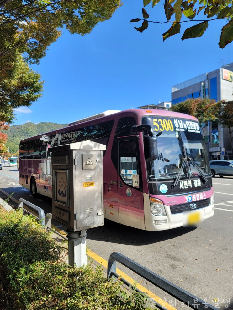  5300번 5100번 버스 성남 세이브존 공항버스 탑승 정보