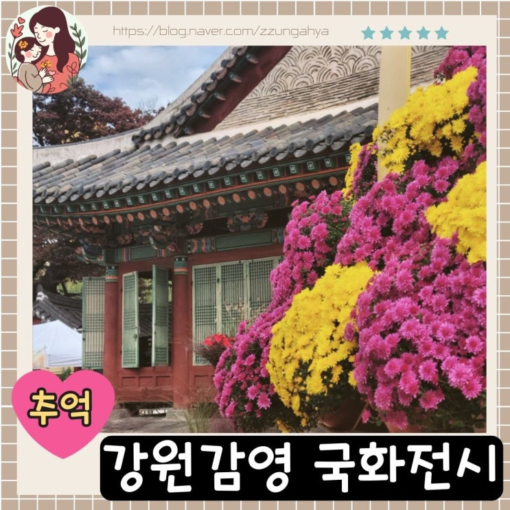  원주 제2회 강원감영 국화전시회, 도심속에서 느끼는 가을의 향기,강원감영 국화축제