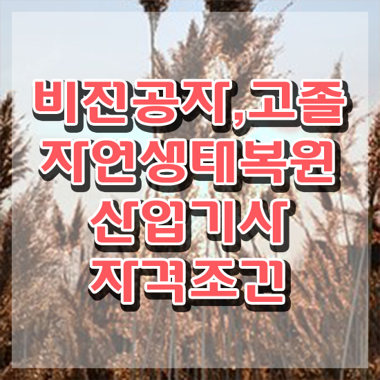  자연생태복원산업기사 학점은행제 자연생태복원산업기사 시험응시자격 인강으로 빠르게 성공한 노하우