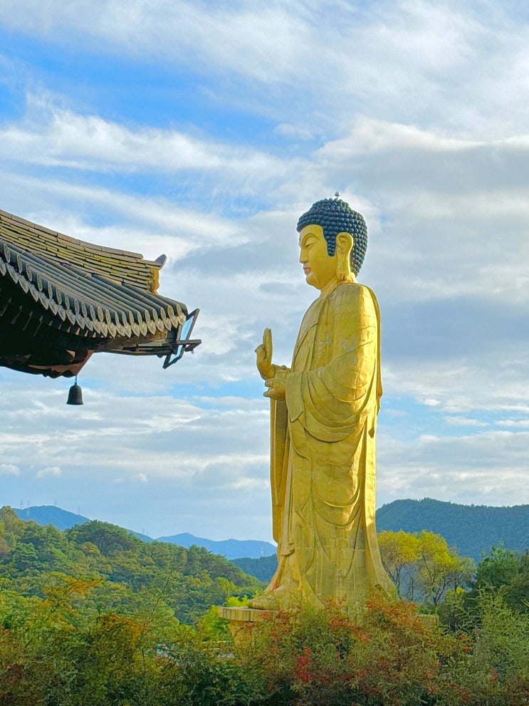  광양 가볼만한곳 백운산자연휴양림 옥룡사지 운암사 동백나무숲