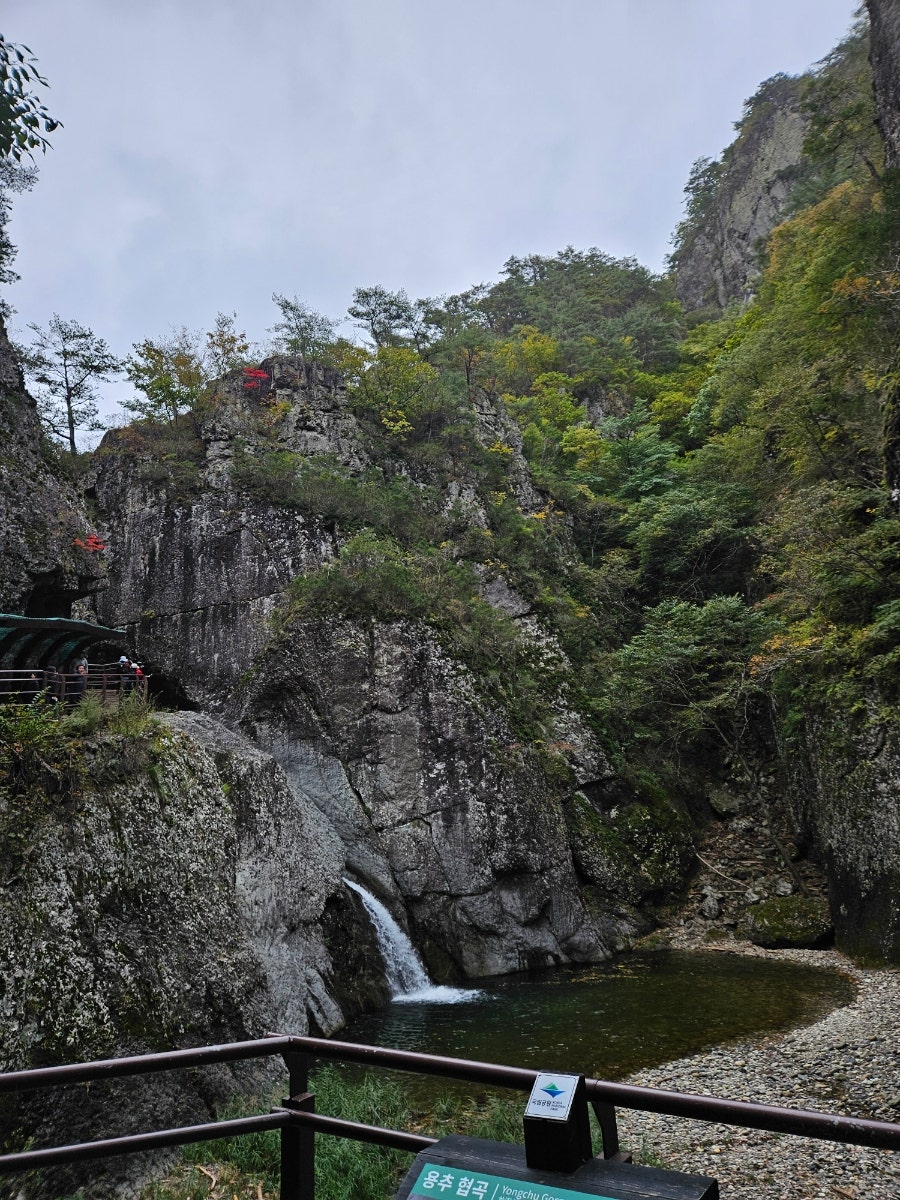 큰골 사진 5
